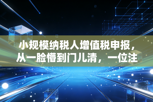 小规模纳税人增值税申报，从一脸懵到门儿清，一位注会CPA带你看透申报背后的门道