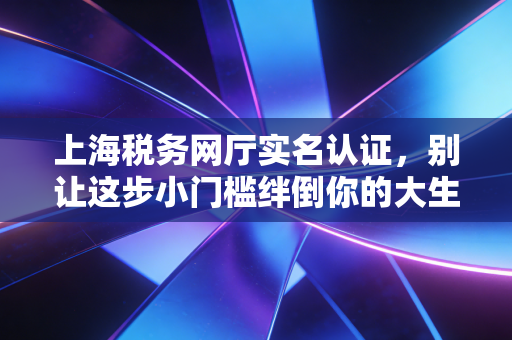 上海税务网厅实名认证，别让这步小门槛绊倒你的大生意——一名注册会计师的实操手记