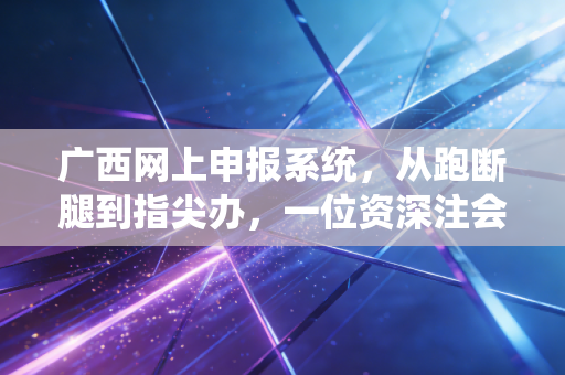 广西网上申报系统，从跑断腿到指尖办，一位资深注会眼中的税务数字化变迁