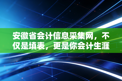 安徽省会计信息采集网，不仅是填表，更是你会计生涯的身份证