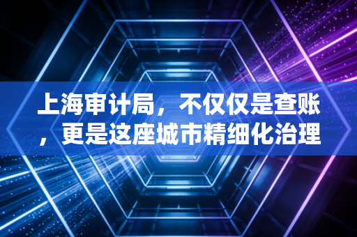 上海审计局，不仅仅是查账，更是这座城市精细化治理的免疫系统