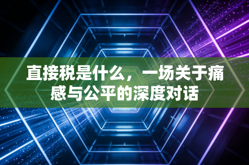 直接税是什么，一场关于痛感与公平的深度对话