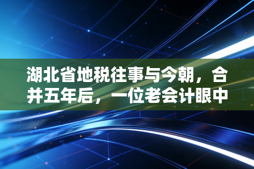 湖北省地税往事与今朝，合并五年后，一位老会计眼中的荆楚税务变迁