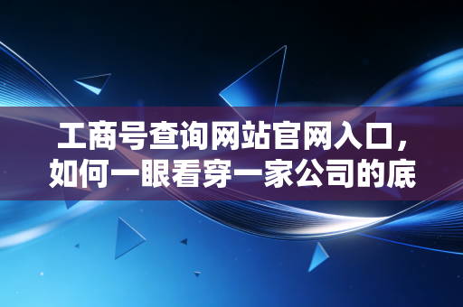 工商号查询网站官网入口，如何一眼看穿一家公司的底牌？一位注会师的深度大白话