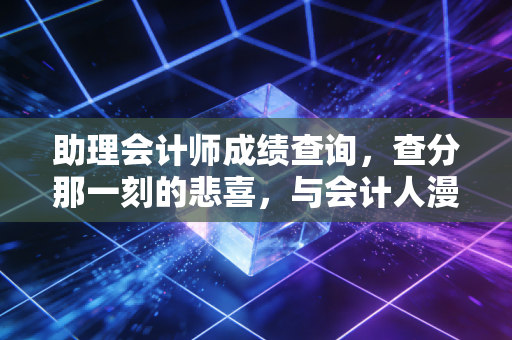 助理会计师成绩查询，查分那一刻的悲喜，与会计人漫长的进阶路