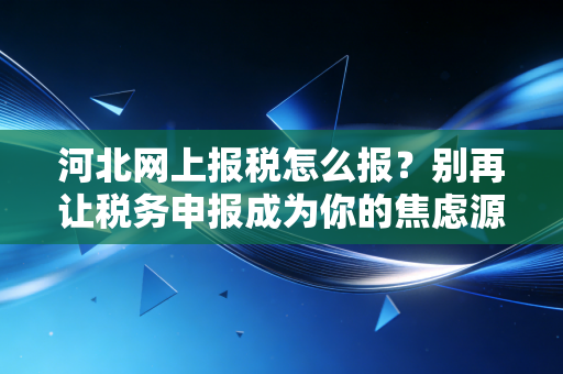 河北网上报税怎么报？别再让税务申报成为你的焦虑源，老会计手把手教你避坑