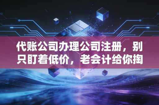 代账公司办理公司注册，别只盯着低价，老会计给你掏心窝子的实话