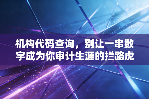 机构代码查询，别让一串数字成为你审计生涯的拦路虎