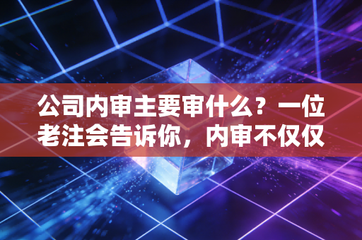公司内审主要审什么？一位老注会告诉你，内审不仅仅是找茬