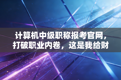 计算机中级职称报考官网,打破职业内卷,这是我给财务人的跨界建议