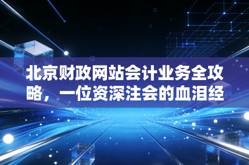 北京财政网站会计业务全攻略，一位资深注会的血泪经验与深度解析