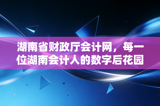 湖南省财政厅会计网,每一位湖南会计人的数字后花园与职业摆渡人