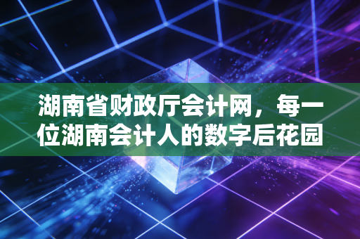 湖南省财政厅会计网,每一位湖南会计人的数字后花园与职业摆渡人