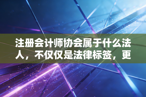 注册会计师协会属于什么法人，不仅仅是法律标签，更是行业生态的缩影