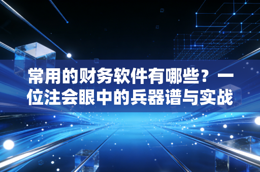 常用的财务软件有哪些？一位注会眼中的兵器谱与实战心得