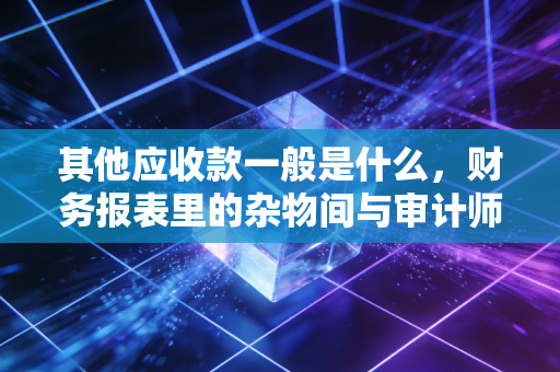 其他应收款一般是什么，财务报表里的杂物间与审计师的照妖镜