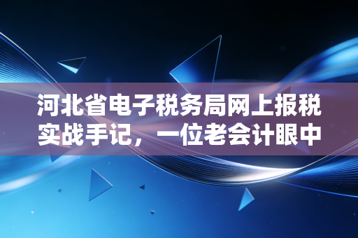 河北省电子税务局网上报税实战手记，一位老会计眼中的数字化变迁与避坑指南