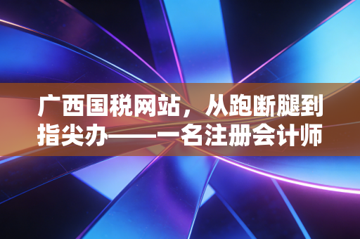 广西国税网站，从跑断腿到指尖办——一名注册会计师眼中的税务数字化变迁
