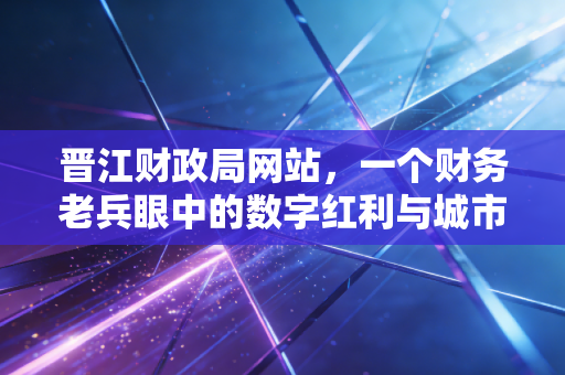 晋江财政局网站,一个财务老兵眼中的数字红利与城市温度