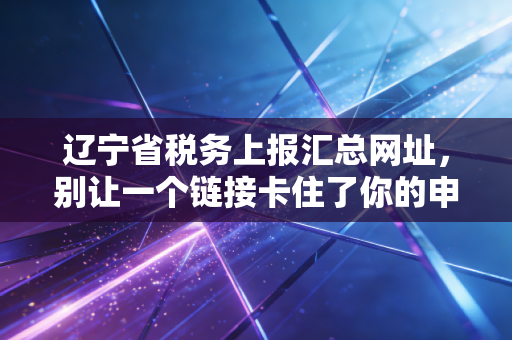 辽宁省税务上报汇总网址,别让一个链接卡住了你的申报期,老会计带你避坑指南