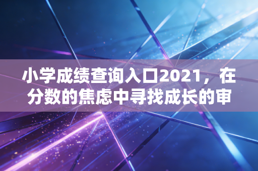 小学成绩查询入口2021，在分数的焦虑中寻找成长的审计报告
