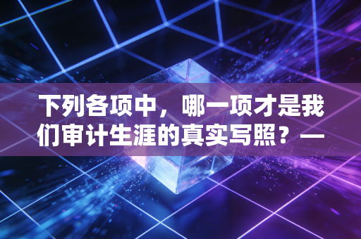 下列各项中,哪一项才是我们审计生涯的真实写照?——从CPA考试的多选题迷局到实务工作的灵魂拷问