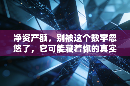 净资产额，别被这个数字忽悠了，它可能藏着你的真实身价
