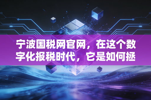 宁波国税网官网,在这个数字化报税时代,它是如何拯救了我的发际线(注会视角下的实操干货)