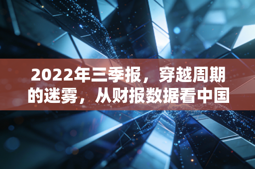 2022年三季报，穿越周期的迷雾，从财报数据看中国经济韧性与审计师的坚守