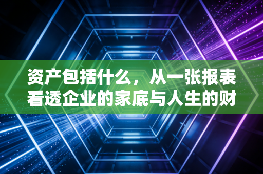 资产包括什么，从一张报表看透企业的家底与人生的财富逻辑