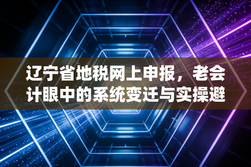 辽宁省地税网上申报，老会计眼中的系统变迁与实操避坑指南