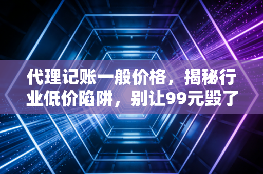 代理记账一般价格，揭秘行业低价陷阱，别让99元毁了你的创业梦