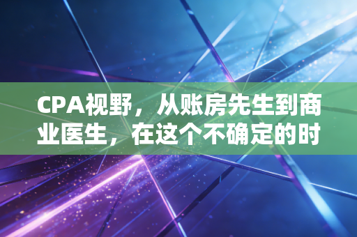 CPA视野，从账房先生到商业医生，在这个不确定的时代寻找确定的锚点