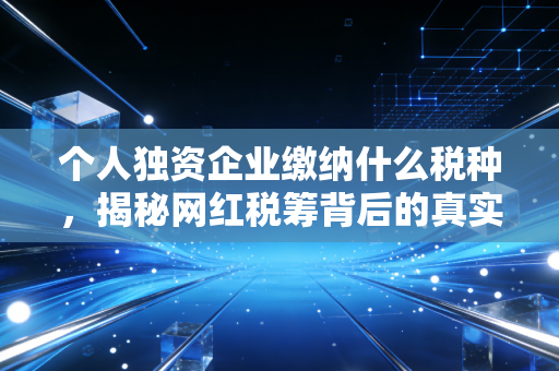 个人独资企业缴纳什么税种，揭秘网红税筹背后的真实账本与风险