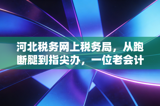 河北税务网上税务局，从跑断腿到指尖办，一位老会计的数字化生存实录