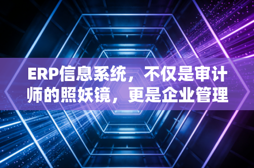 ERP信息系统，不仅是审计师的照妖镜，更是企业管理的定海神针
