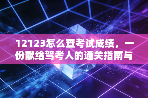 12123怎么查考试成绩，一份献给驾考人的通关指南与心理按摩