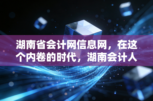 湖南省会计网信息网，在这个内卷的时代，湖南会计人如何寻找自己的上岸之路？