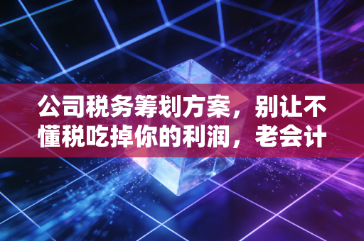 公司税务筹划方案，别让不懂税吃掉你的利润，老会计的肺腑之言