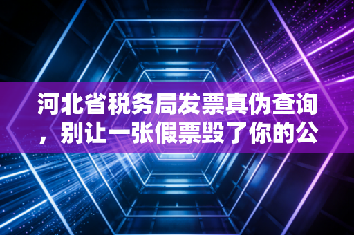 河北省税务局发票真伪查询，别让一张假票毁了你的公司，老会计的经验之谈