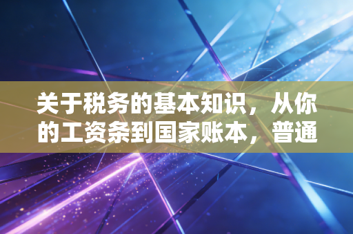 关于税务的基本知识,从你的工资条到国家账本,普通人必须搞懂的生存法则