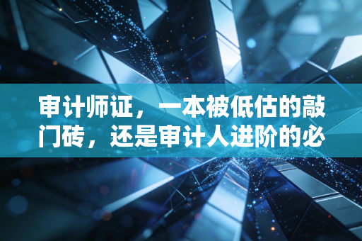 审计师证,一本被低估的敲门砖,还是审计人进阶的必经之路?
