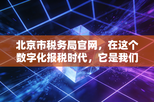 北京市税务局官网,在这个数字化报税时代,它是我们最熟悉的陌生人