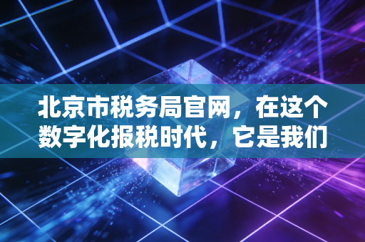 北京市税务局官网,在这个数字化报税时代,它是我们最熟悉的陌生人
