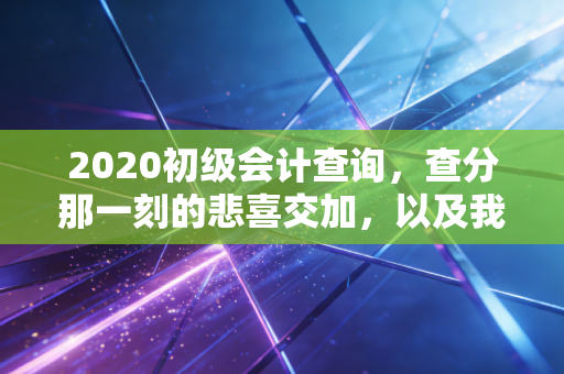 2020初级会计查询,查分那一刻的悲喜交加,以及我对会计入行门槛的真实看法