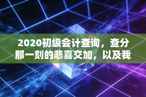 2020初级会计查询,查分那一刻的悲喜交加,以及我对会计入行门槛的真实看法