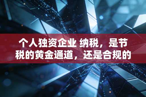 个人独资企业 纳税，是节税的黄金通道，还是合规的高压线？