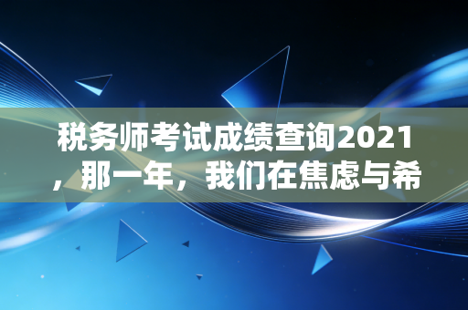 税务师考试成绩查询2021，那一年，我们在焦虑与希望中等待的冬日回响