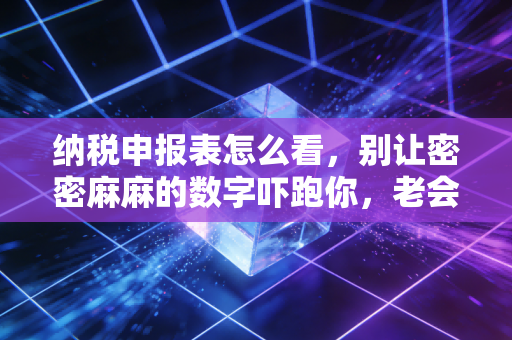 纳税申报表怎么看，别让密密麻麻的数字吓跑你，老会计带你拆解背后的商业逻辑