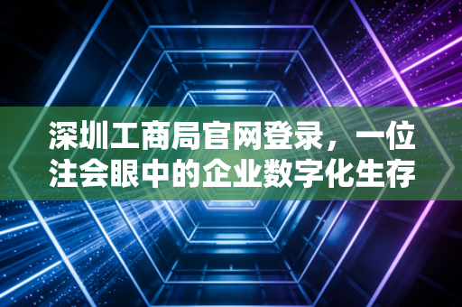 深圳工商局官网登录，一位注会眼中的企业数字化生存与那些崩溃的瞬间
